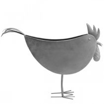 Prodotto Vaso per fiori pollo in metallo uccello decorazione in metallo zincato 51×16×37cm