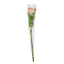 Prodotto Sacchetto di fiori non stampato L41cm W3-12cm 50 pz