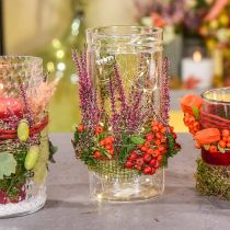 Vaso per fiori, cilindro in vetro, vaso in vetro tondo Ø10cm H16.5cm