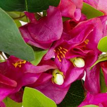 Prodotto Ramo di fiori di bouganville artificiale per decorazioni primaverili, 100 cm