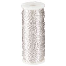 Filo effetto brodo 100g argento