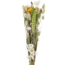 Prodotto Bouquet di fiori secchi, elegante bouquet di fiori secchi per soggiorno, 50 cm
