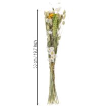 Prodotto Bouquet di fiori secchi, elegante bouquet di fiori secchi per soggiorno, 50 cm