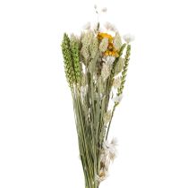Prodotto Bouquet di fiori secchi, elegante bouquet di fiori secchi per soggiorno, 50 cm