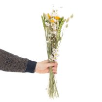 Prodotto Bouquet di fiori secchi, elegante bouquet di fiori secchi per soggiorno, 50 cm