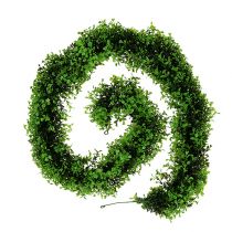 Prodotto Ghirlanda Bosso Verde L170cm