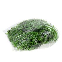 Prodotto Ghirlanda Bosso Verde L170cm