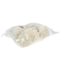 Prodotto Buddha Nut sbiancato 10 pz