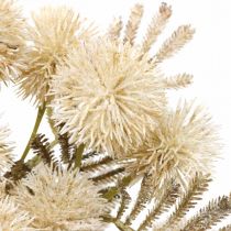 Cardo Artificiale Crema Drylook Globe Cardo 33cm 3pz