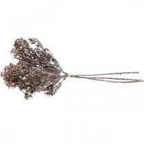 Prodotto Piante artificiali marrone decorazione autunnale decorazione invernale Drylook 38 cm 3 pz