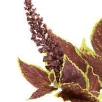 Prodotto Coleus artificiale con foglie rosse, pianta artificiale, 20 cm