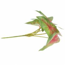 Prodotto Pianta artificiale caladium a sei foglie verde/rosa artificiale come vera!