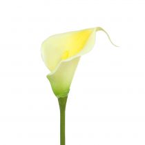 Prodotto Calla artificiale gialla 57 cm 12 pezzi