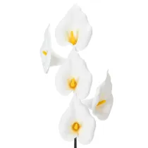 Prodotto Calla artificiale con stami gialli, fiori decorativi, 35 cm, 10 pezzi