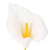 Prodotto Calla artificiale con stami gialli, fiori decorativi, 35 cm, 10 pezzi