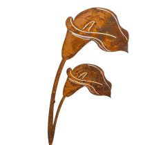 Prodotto Paletto da giardino a forma di calla, ruggine, per lapidi e composizioni floreali, 25 cm, 6 pezzi