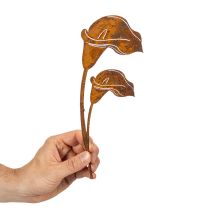 Prodotto Paletto da giardino a forma di calla, ruggine, per lapidi e composizioni floreali, 25 cm, 6 pezzi