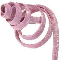 Prodotto Bobina di canna da zucchero Cono di canna da zucchero Assortimento di canne da zucchero Bacca 30 cm 75 pezzi