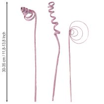 Prodotto Bobina di canna da zucchero Cono di canna da zucchero Assortimento di canne da zucchero Bacca 30 cm 75 pezzi