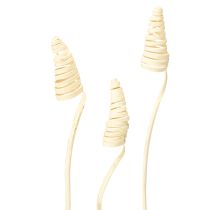Prodotto Cono di canna sbiancato 25 pz