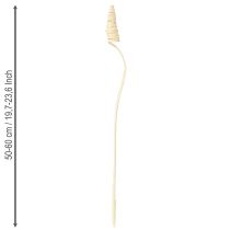 Prodotto Cono di canna sbiancato 25 pz