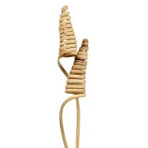 Prodotto Cono di canna naturale 25 pz