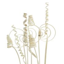Prodotto Assortimento di canna mini sbiancata 75 pezzi