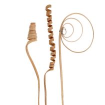 Prodotto Assortimento di bastoncini mini naturali 75 pezzi