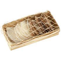 Prodotto Dischi Capiz in conchiglie di oro naturale 60 pz