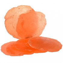 Conchiglie Capiz Fette Capiz Fette madreperla arancia 7,5–9,5 cm 300 g