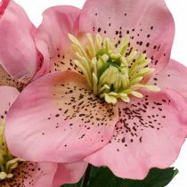 Rosa di Natale, rosa quaresimale, elleboro, piante artificiali rosa L34cm 4pz