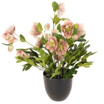 Prodotto Pianta artificiale di elleboro in vaso, rosa di Natale, per decorazione domestica, 50 cm