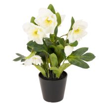 Prodotto Rosa natalizia artificiale, pianta in vaso, decorazione da tavolo, 34 cm