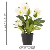 Prodotto Rosa natalizia artificiale, pianta in vaso, decorazione da tavolo, 34 cm