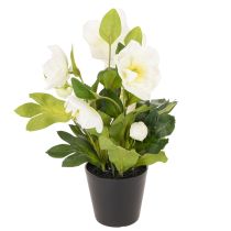 Prodotto Rosa natalizia artificiale, pianta in vaso, decorazione da tavolo, 34 cm