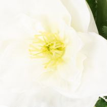 Prodotto Mazzo di rose natalizie artificiali, bianche, decorazione natalizia artificiale