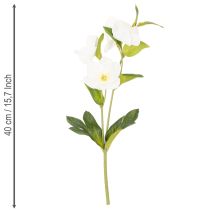 Prodotto Rose di Natale artificiali, mazzo di fiori artificiali decorativi bianchi, 40 cm, 4 pezzi