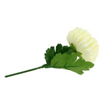Prodotto Crisantemo fiore artificiale crema Ø7cm 18cm 4 pezzi