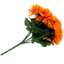 Fiori Di Crisantemo Rossi E Arancioni In Fiore Fotografia Stock Fiori Rossi Ed Arancio Del Crisantemo Fioritura Image78356392