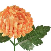 Prodotto Crisantemo arancione Ø7cm L18cm 1 pz