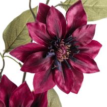 Prodotto Clematis artificiale 3 fiori fiori artificiali Bordeaux 81cm 2 pezzi