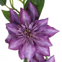 Clematide artificiale, fiore di seta, ramo decorativo con fiori di clematide viola L84cm