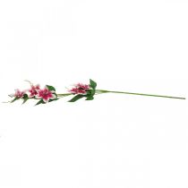 Prodotto Ramo clematide con 5 fiori, fiore artificiale, ramo decorativo rosa, bianco L84cm