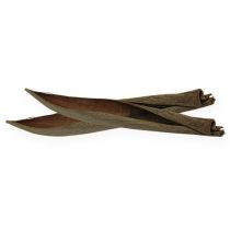 Prodotto Gusci di cocco naturali 60 cm 5 pz