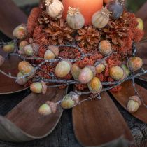Prodotto Gusci di cocco naturali 60 cm 5 pz