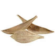 Prodotto Gusci di cocco foglie di cocco sbiancate 25 pz