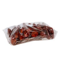 Prodotto Rosetta Compacta arancione 40 pz