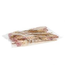 Prodotto Compacta Rosa 25 pz