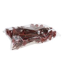 Prodotto Rosetta Compacta Erika 40 pz