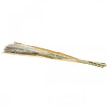 Prodotto Erbe secche Erba della Pampa mazzo naturale 80cm 100g